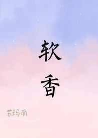 我的赵小姐（记述）