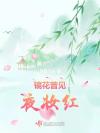 身为救世主的我落网了